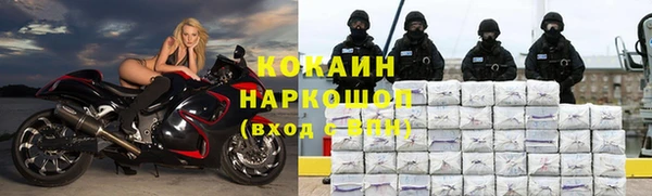 сатива Заводоуковск