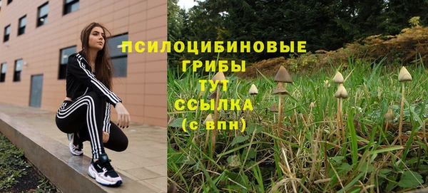 сатива Заводоуковск