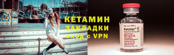 сатива Заводоуковск