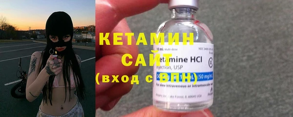сатива Заводоуковск