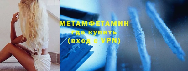 сатива Заводоуковск