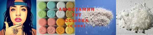 сатива Заводоуковск