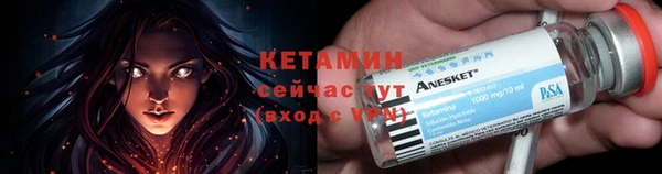 сатива Заводоуковск