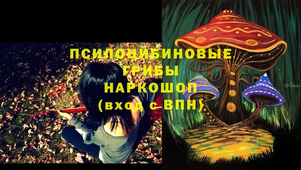 тгк Заволжск